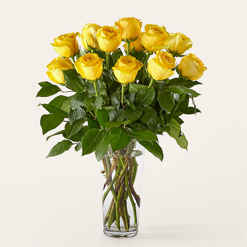 Long Stem Yellow Rose Bouquet – Garden City Florist, Arlington VA