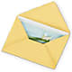 Greeting Card – Garden City Florist, Arlington VA