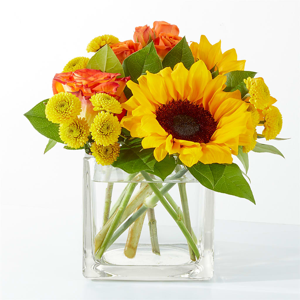 Picnic in the Park Bouquet – Garden City Florist, Arlington VA