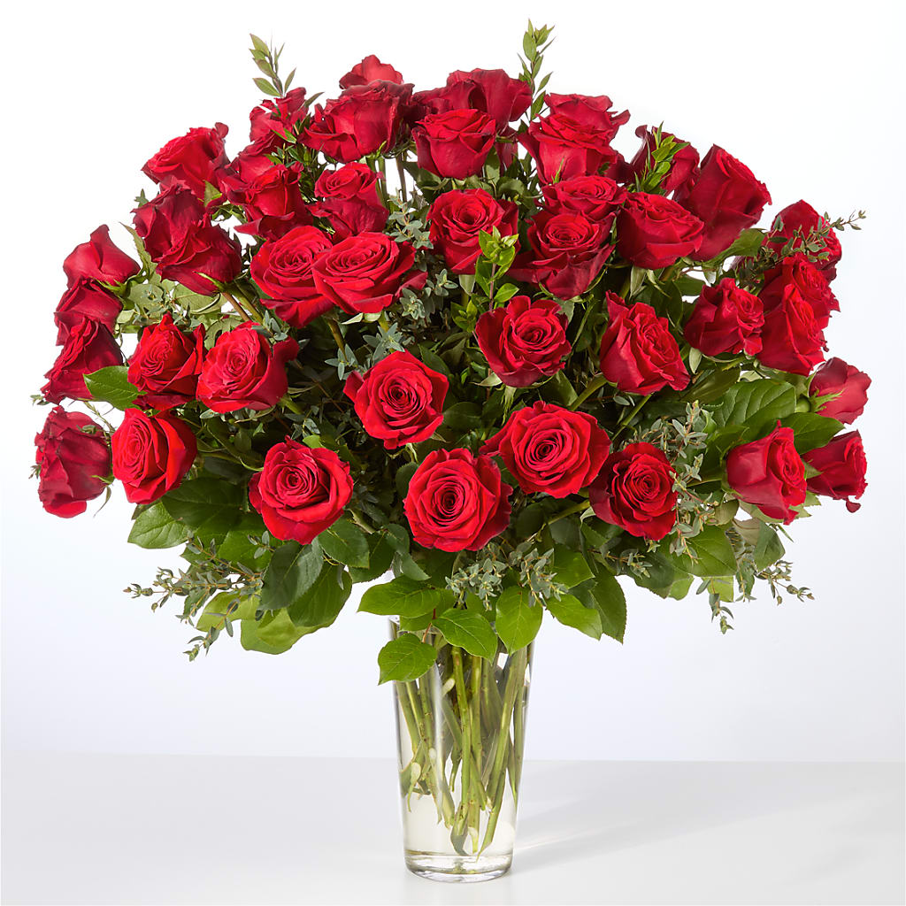 Forever Yours Fifty Stem Red Rose Bouquet – Garden City Florist, Arlington VA