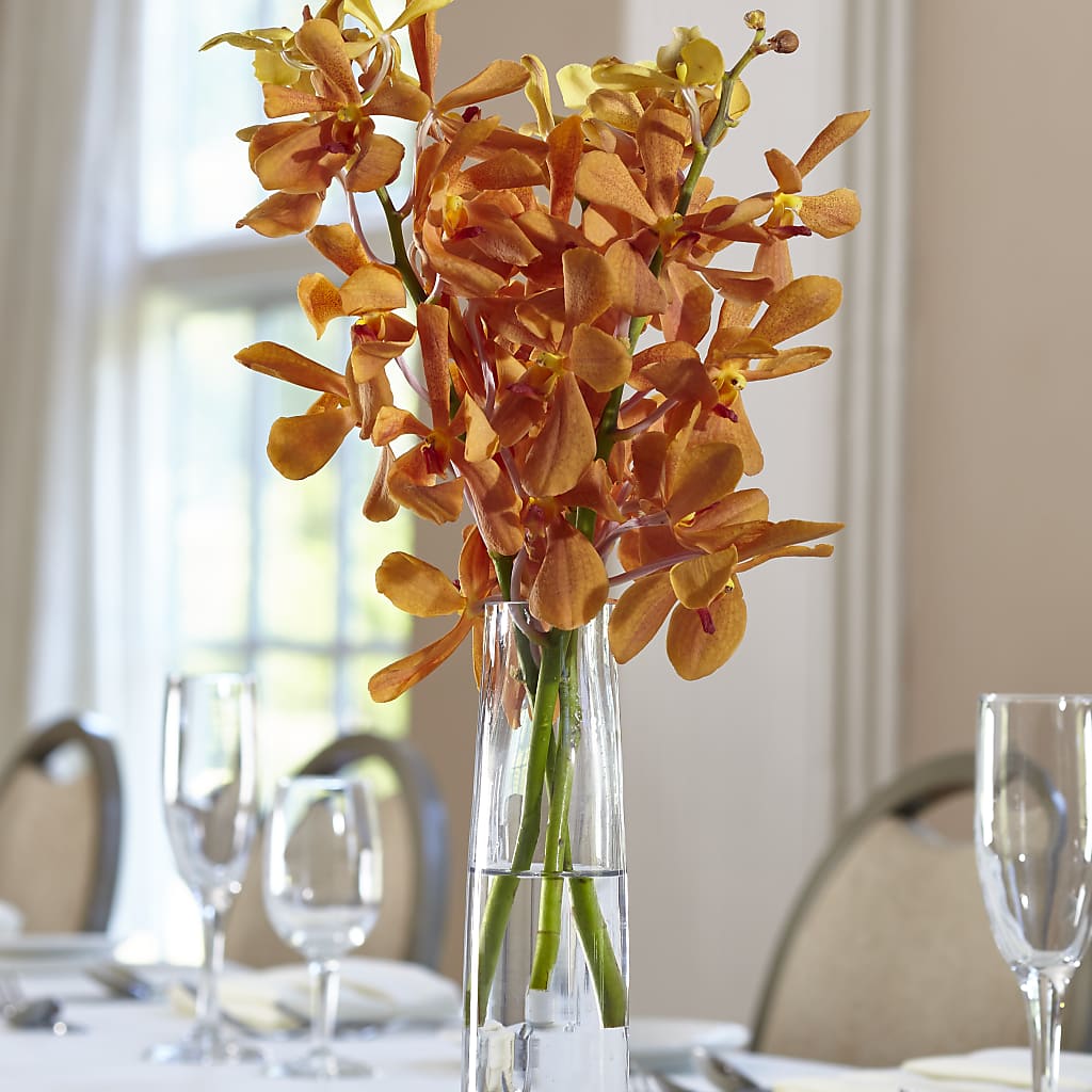 Orange Mokara Bud Vase – Garden City Florist, Arlington VA