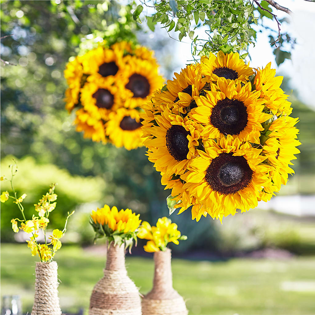 Sublime Garden Hanging Arrangement – Garden City Florist, Arlington VA