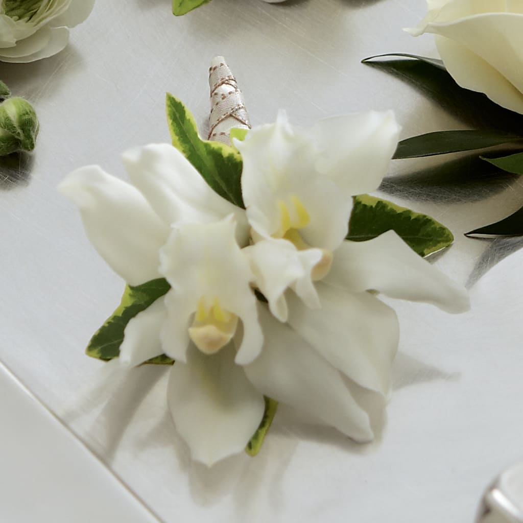 White Mini Cymbidium Boutonniere – Garden City Florist, Arlington VA