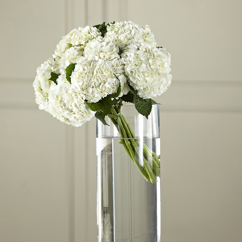 White Hydrangea Hand-Tied Bouquet – Garden City Florist, Arlington VA