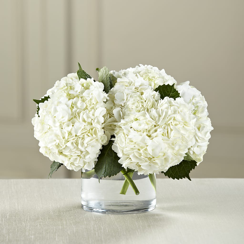 White Hydrangea Bouquet – Garden City Florist, Arlington VA