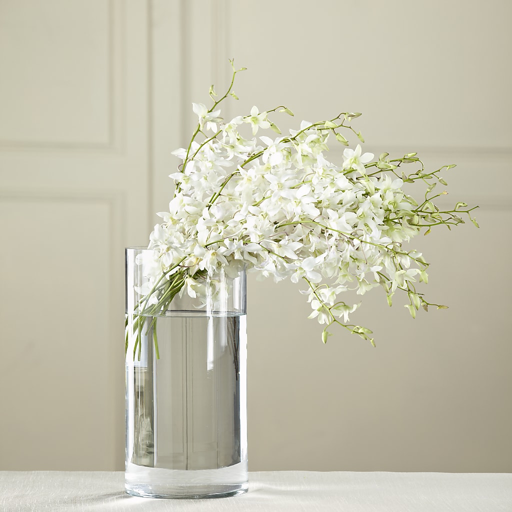 White Dendrobium Bouquet – Garden City Florist, Arlington VA