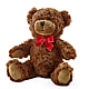 Adorable Plush Bear –  Garden City Florist, Arlington VA