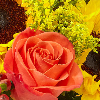 Pick of the Patch Pumpkin Bouquet –  Garden City Florist, Arlington VA