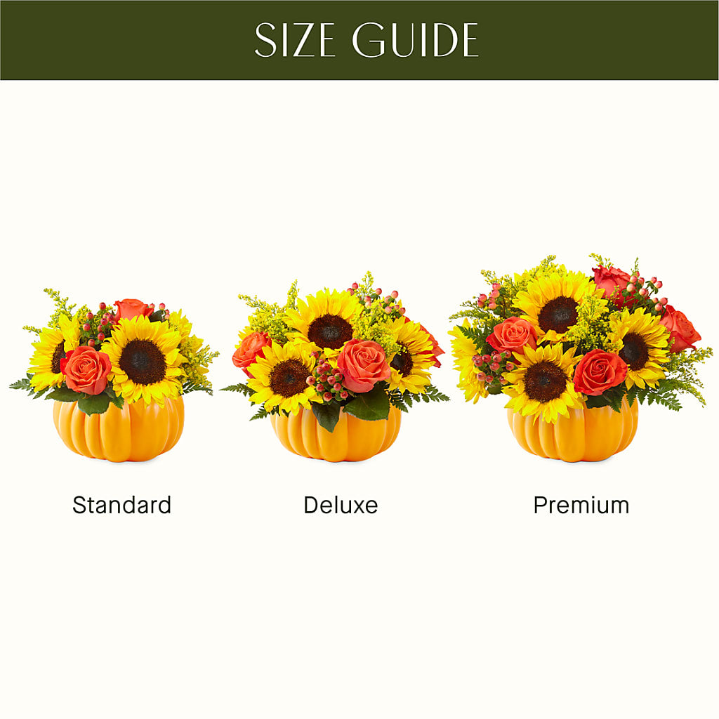 Pick of the Patch Pumpkin Bouquet –  Garden City Florist, Arlington VA