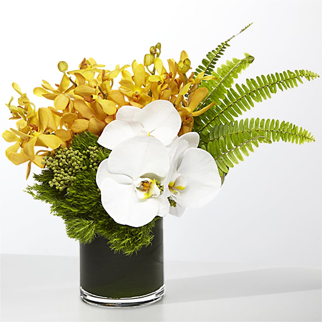 The Tropics –  Garden City Florist, Arlington VA