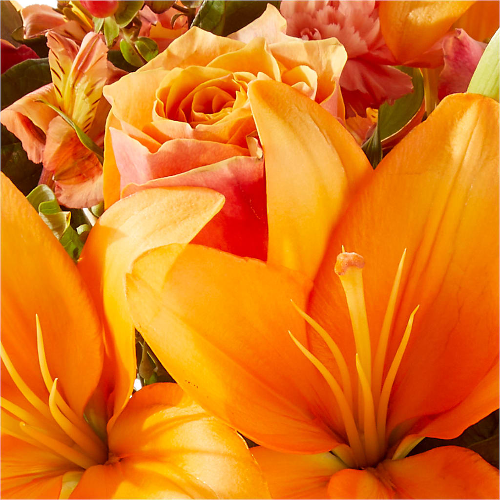 Afternoon Light Bouquet –  Garden City Florist, Arlington VA