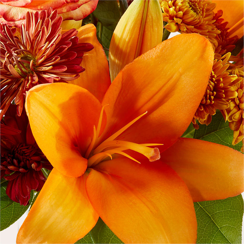 Autumnal Aroma Bouquet –  Garden City Florist, Arlington VA