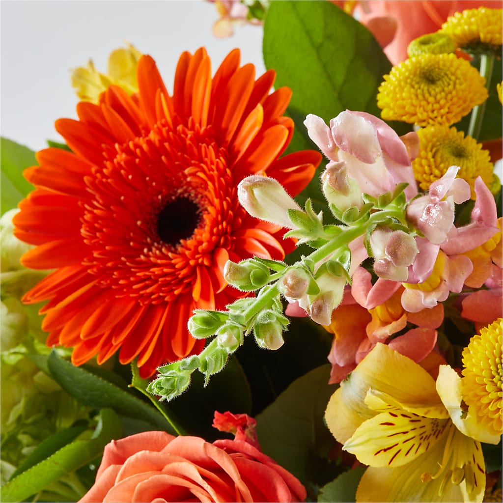 Autumn Sunshine Bouquet –  Garden City Florist, Arlington VA