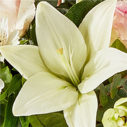 Ballet Slippers Bouquet –  Garden City Florist, Arlington VA