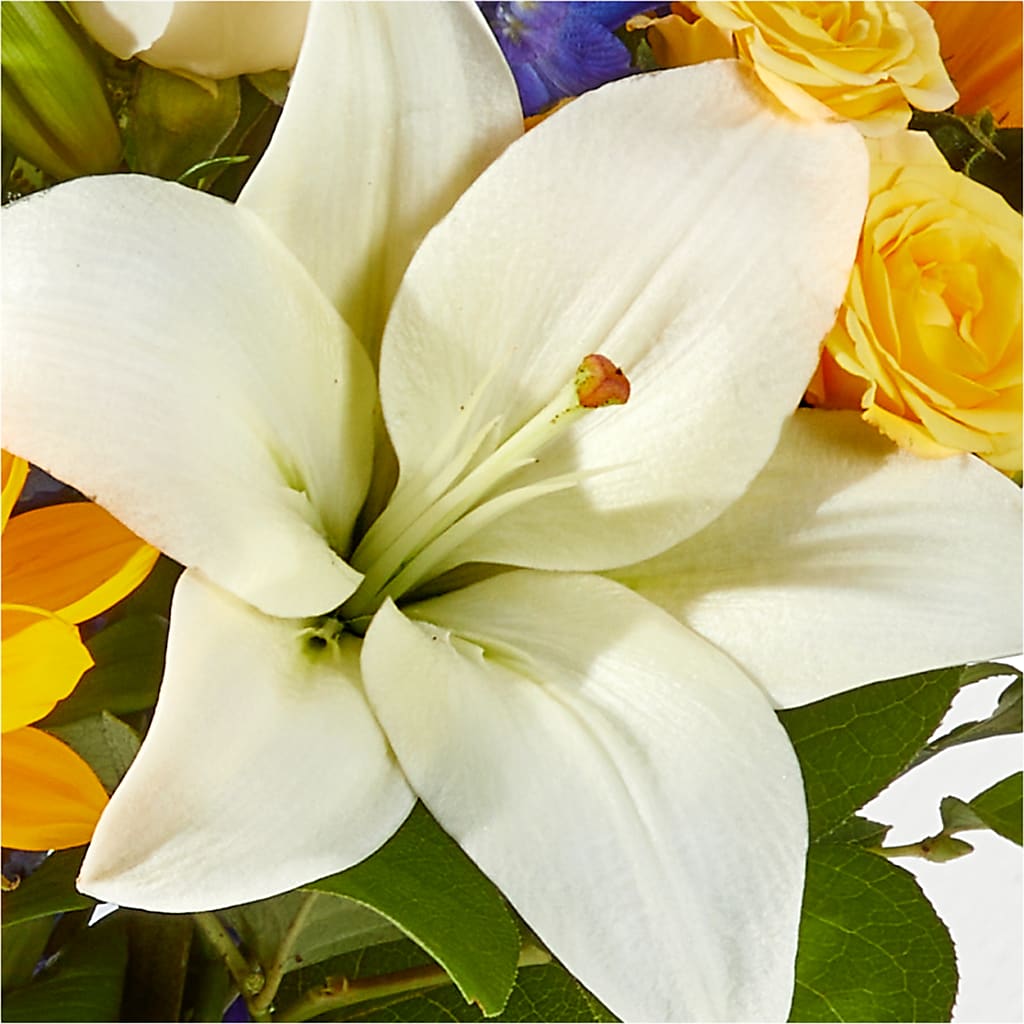 Wonderfully Sunny Bouquet –  Garden City Florist, Arlington VA