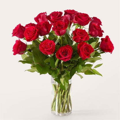 The One Red Rose Bouquet –  Garden City Florist, Arlington VA