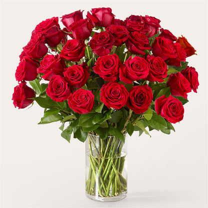 The One Red Rose Bouquet –  Garden City Florist, Arlington VA
