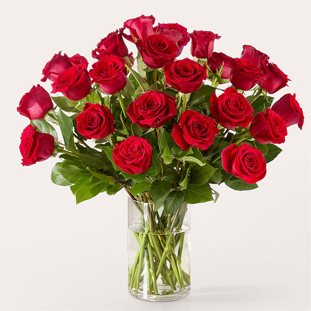 The One Red Rose Bouquet –  Garden City Florist, Arlington VA