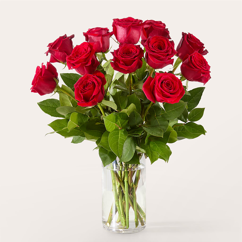 The One Red Rose Bouquet –  Garden City Florist, Arlington VA