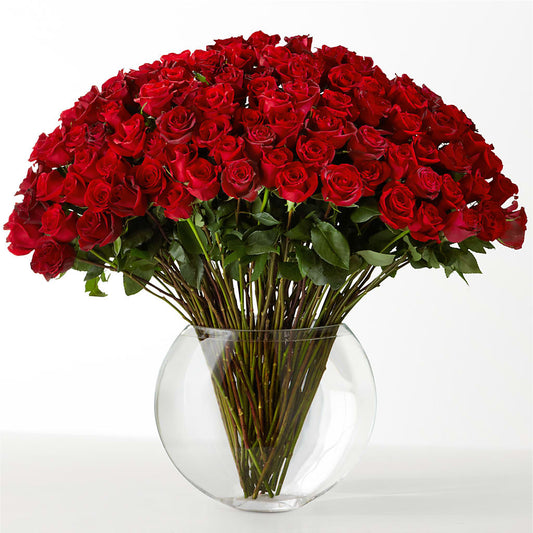 The Idealist –  Garden City Florist, Arlington VA