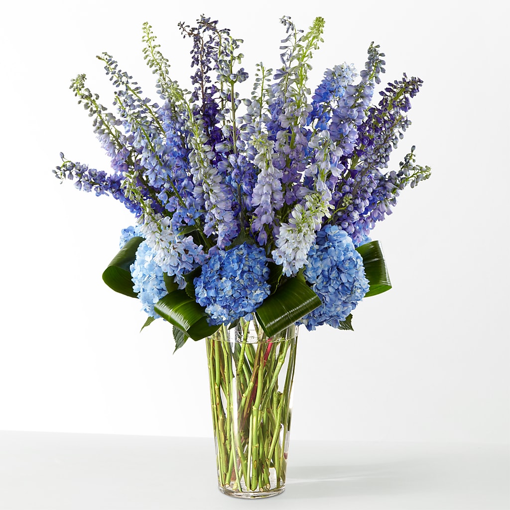 The Editorial –  Garden City Florist, Arlington VA
