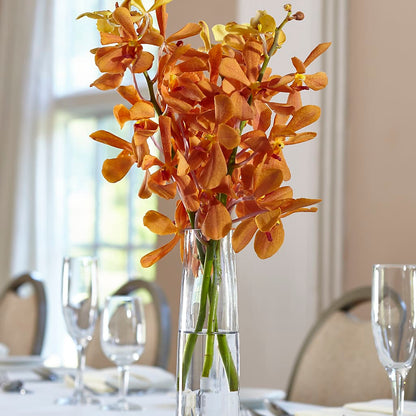 Orange Mokara Bud Vase –  Garden City Florist, Arlington VA
