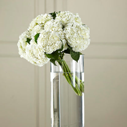 White Hydrangea Hand-Tied Bouquet –  Garden City Florist, Arlington VA