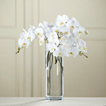 White Phalaenopsis Bouquet –  Garden City Florist, Arlington VA