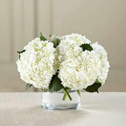White Hydrangea Bouquet –  Garden City Florist, Arlington VA
